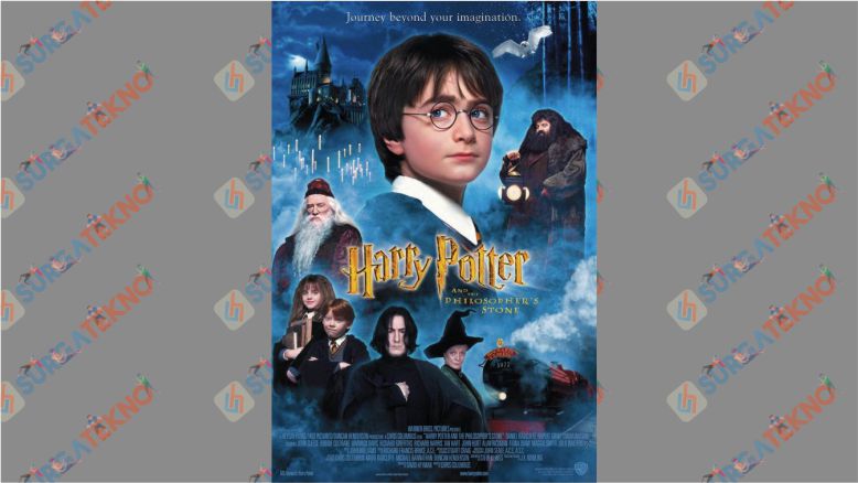 Harry Potter (2001)