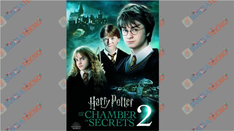 Harry Potter and The Chamber of Secrets (2002)