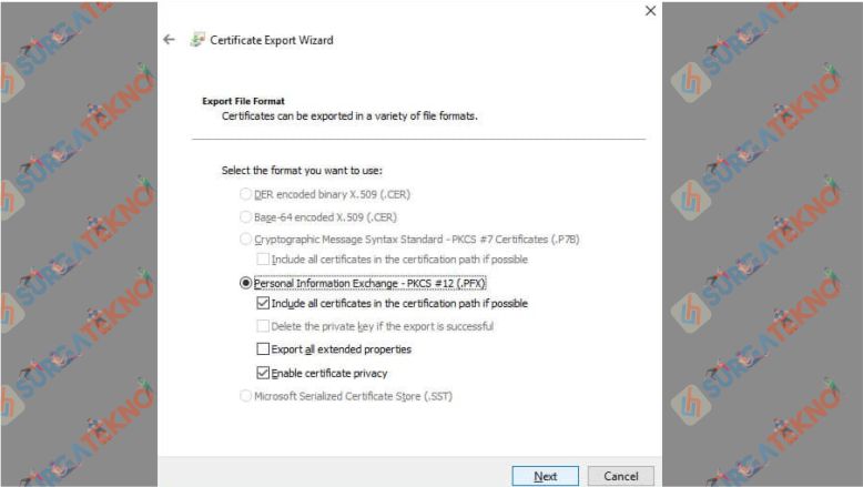 Pilih Format File yang ingin di-export