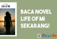 Link Baca Novel Life Of Mi