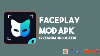 Review FacePlay MOD APK