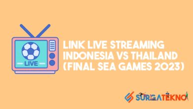 Live Streaming Indonesia vs Thailand (Final SEA Games 2023)