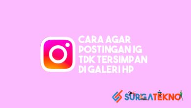Cara Agar Postingan Instagram Tidak Tersimpan di Galeri [Terbaru]