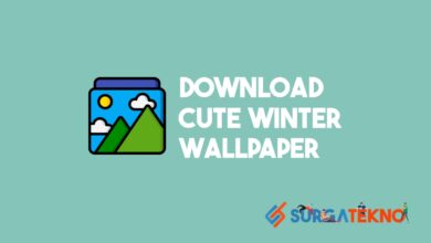Cute Winter Animal Wallpaper