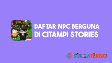 NPC Berguna di Citampi Stories