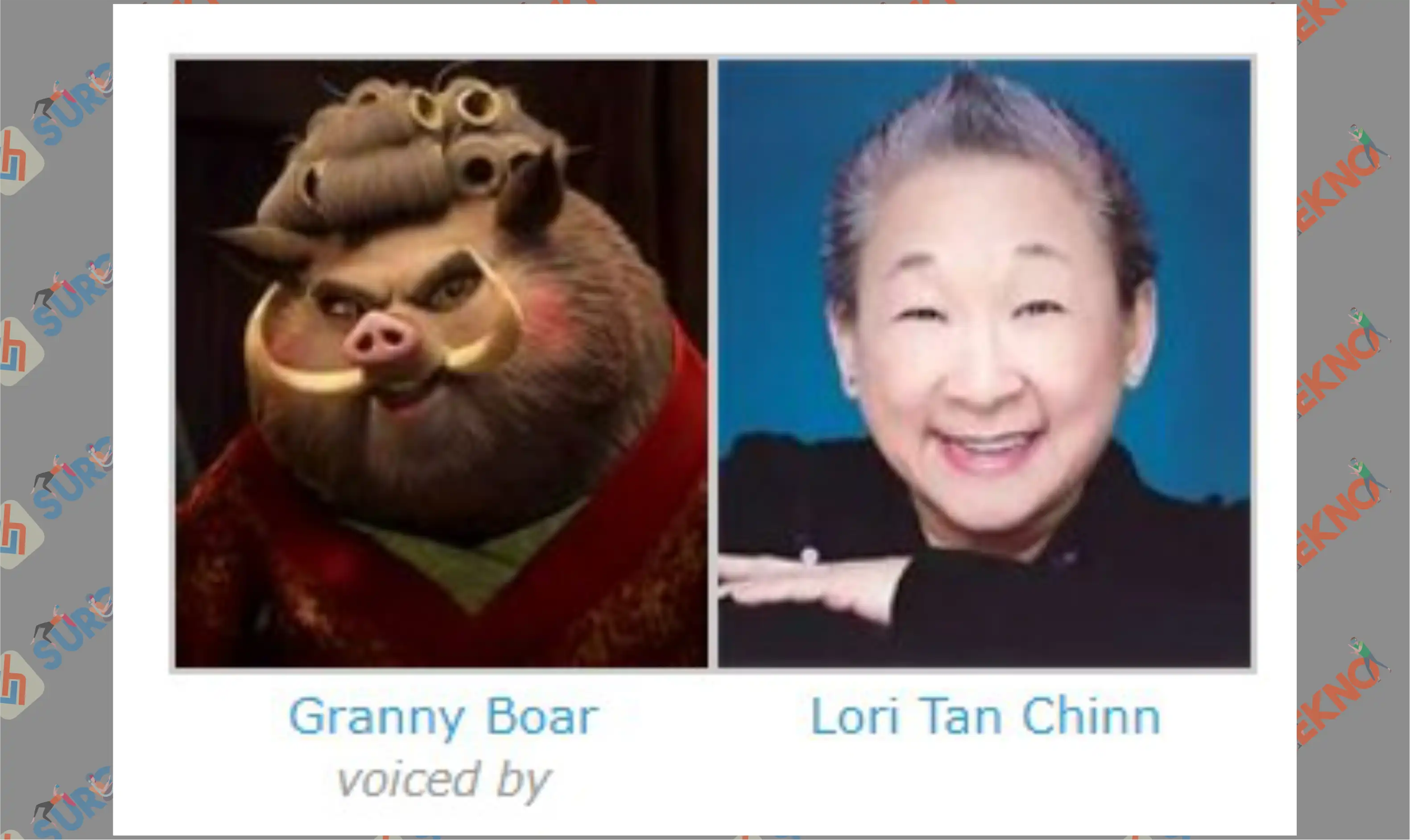 10 Karakter Granny Boar - Karakter Kungfu Panda 4 Lengkap Beserta Pengisi Suara